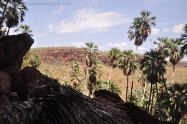 Nawilbinbin Walk 075 DSC 0079 2021 10 06 11h48m00s Nawilbinbin Walk 075 DSC 0079 2021 10 06 11h48m00s