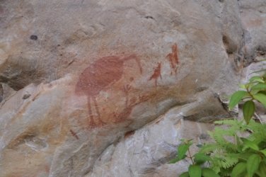 Nawilbinbin Walk 077 DSC 0081 2021 10 06 11h48m34s 1 Nawilbinbin Walk 077 DSC 0081 2021 10 06 11h48m34s 1