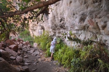 Nawilbinbin Walk 083 DSC 0087 2021 10 06 11h50m42s Nawilbinbin Walk 083 DSC 0087 2021 10 06 11h50m42s