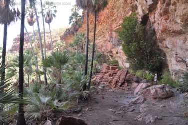 Nawilbinbin Walk 085 DSC 0089 2021 10 06 11h52m25s Nawilbinbin Walk 085 DSC 0089 2021 10 06 11h52m25s