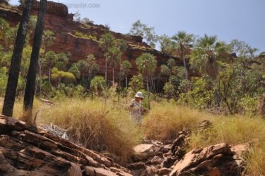 Nawilbinbin Walk 091 DSC 0095 2021 10 06 12h01m47s Nawilbinbin Walk 091 DSC 0095 2021 10 06 12h01m47s