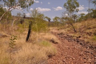 Nawilbinbin Walk 102 DSC 0106 2021 10 06 12h12m09s Nawilbinbin Walk 102 DSC 0106 2021 10 06 12h12m09s