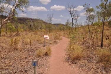 Nawilbinbin Walk 103 DSC 0107 2021 10 06 12h14m34s Nawilbinbin Walk 103 DSC 0107 2021 10 06 12h14m34s