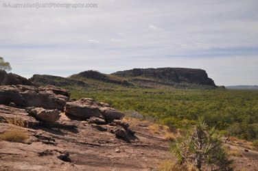Nawurlandja Lookout Kakadu 005 2021 08 06 11 03 51 DSC 0946 Nawurlandja Lookout Kakadu 005 2021 08 06 11 03 51 DSC 0946
