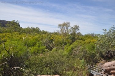 Nawurlandja Lookout Kakadu 017 2021 08 06 11 23 13 DSC 0958 Nawurlandja Lookout Kakadu 017 2021 08 06 11 23 13 DSC 0958