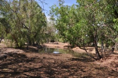 Pine Creek 017 DSC 0771 Pine Creek 017 DSC 0771