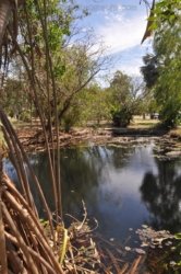 Pine Creek 020 DSC 0774 Pine Creek 020 DSC 0774