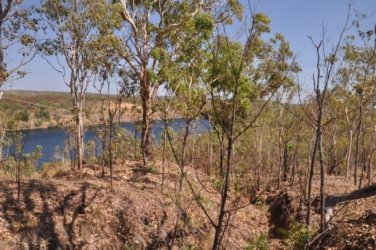 Pine Creek Lookout 006 DSC 0707 Pine Creek Lookout 006 DSC 0707