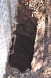 Pine Creek Lookout 007 DSC 0708 Pine Creek Lookout 007 DSC 0708