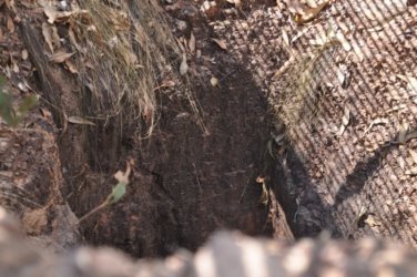 Pine Creek Lookout 008 DSC 0709 Pine Creek Lookout 008 DSC 0709