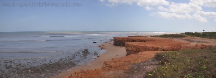 Stingray Head Stingray Head