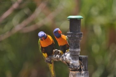 Timber Creek1 001 DSC 0710 Timber Creek1 001 DSC 0710