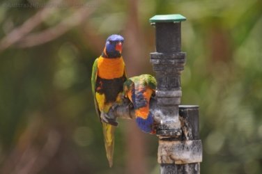 Timber Creek1 003 DSC 0712 Timber Creek1 003 DSC 0712