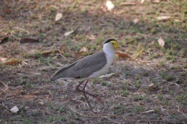 Timber Creek1 025 DSC 0734 Timber Creek1 025 DSC 0734