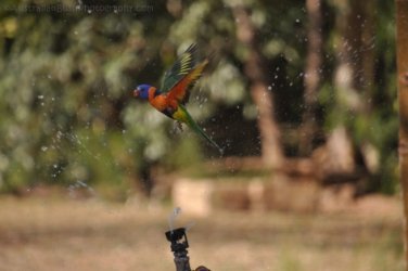 Timber Creek1 035 DSC 0744 Timber Creek1 035 DSC 0744