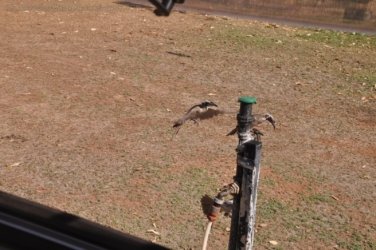 Timber Creek1 051 DSC 0760 1 Timber Creek1 051 DSC 0760 1