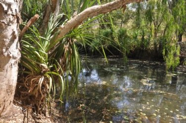 Timber Creek1 061 DSC 0770 Timber Creek1 061 DSC 0770