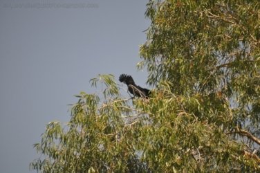 Timber Creek1 069 DSC 0781 Timber Creek1 069 DSC 0781