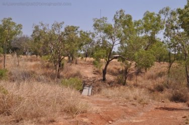 Timber Creek1 072 DSC 0784 Timber Creek1 072 DSC 0784