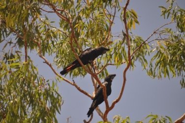 Timber Creek1 087 DSC 0799 Timber Creek1 087 DSC 0799