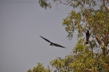 Timber Creek1 094 DSC 0807 Timber Creek1 094 DSC 0807