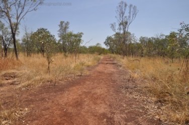 Timber Creek1 098 DSC 0811 Timber Creek1 098 DSC 0811
