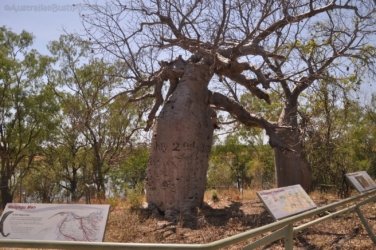 Timber Creek1 100 DSC 0813 Timber Creek1 100 DSC 0813