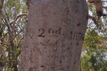 Timber Creek1 101 DSC 0814 Timber Creek1 101 DSC 0814