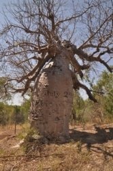 Timber Creek1 105 DSC 0818 Timber Creek1 105 DSC 0818