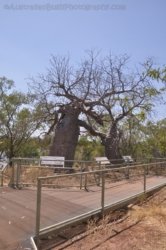 Timber Creek1 115 DSC 0828 Timber Creek1 115 DSC 0828