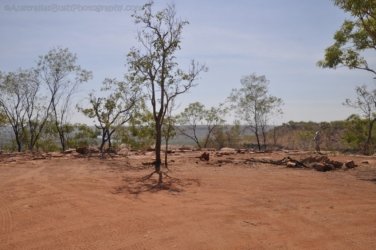 Timber Creek1 181 DSC 0894 Timber Creek1 181 DSC 0894