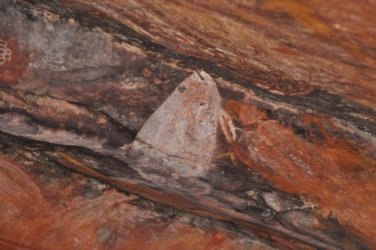 Ubirr Kakadu 056 DSC 0284 Ubirr Kakadu 056 DSC 0284