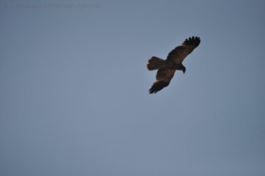 Ubirr Kakadu 080 DSC 0307 Ubirr Kakadu 080 DSC 0307