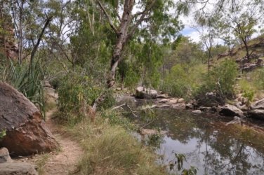 Umbrawarra Gorge 008 DSC 0650 Umbrawarra Gorge 008 DSC 0650