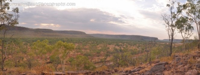 VicEscP1 0712am VicEscP1 0712am