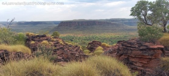 Victoria River Escarpment 062 20211007 075302 2021 10 07 07h53m02s Victoria River Escarpment 062 20211007 075302 2021 10 07 07h53m02s