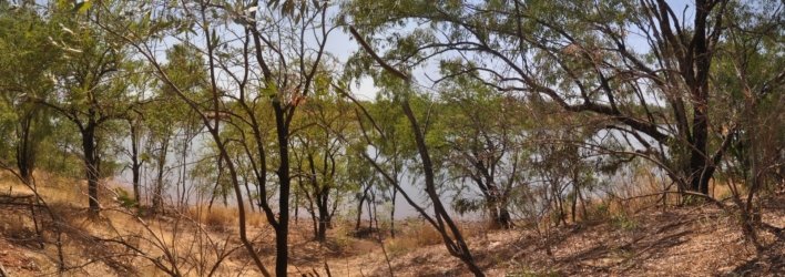 Victoria River at Gregorys Tree Victoria River at Gregorys Tree