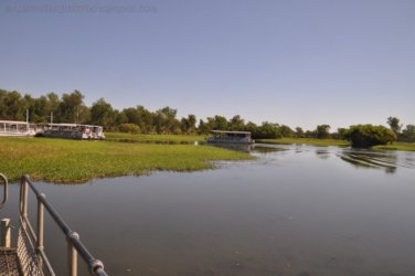 Yellow Water Cooinda Kakadu 006 DSC 0401 Yellow Water Cooinda Kakadu 006 DSC 0401