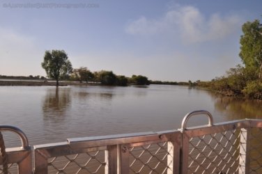 Yellow Water Cruise Kakadu 012 DSC 0443 Yellow Water Cruise Kakadu 012 DSC 0443