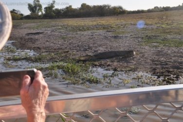 Yellow Water Cruise Kakadu 051 DSC 0482 Yellow Water Cruise Kakadu 051 DSC 0482