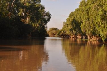 Yellow Water Cruise Kakadu 063 DSC 0494 Yellow Water Cruise Kakadu 063 DSC 0494