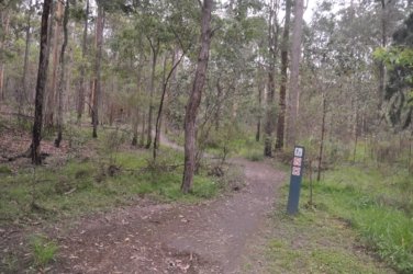 Bunyaville Conservation Park 001 DSC 0021 scaled Bunyaville Conservation Park 001 DSC 0021 scaled