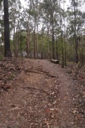 Bunyaville Conservation Park 004 DSC 0024 scaled Bunyaville Conservation Park 004 DSC 0024 scaled