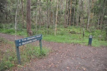 Bunyaville Conservation Park 025 DSC 0045 scaled Bunyaville Conservation Park 025 DSC 0045 scaled