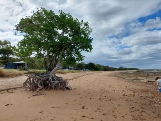 Clairview 002 20220129 160459 Clairview 002 20220129 160459