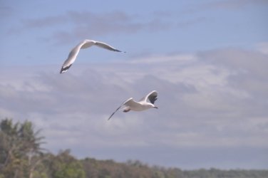 Clairview 013 Clairview 012 DSC 0306 Clairview 013 Clairview 012 DSC 0306