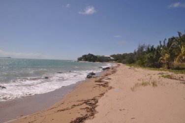 Clairview 016 Clairview 014 DSC 0308 1 Clairview 016 Clairview 014 DSC 0308 1