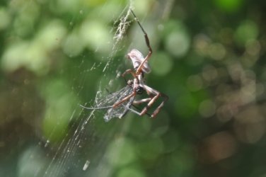 Clairview 022 Clairview 020 DSC 0314 Clairview 022 Clairview 020 DSC 0314