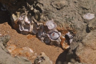 Clairview 045 Clairview 041 DSC 0335 Clairview 045 Clairview 041 DSC 0335