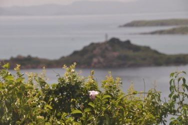 Plantation Hill Bowen 045 DSC 0389 Plantation Hill Bowen 045 DSC 0389